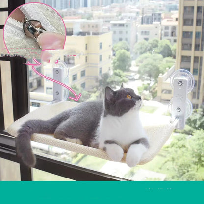 Cat Suction Cup Window Glass Hammock Pet Cat Pets Products b3242254 df75 46d4 b603 0d18d4d1a53c