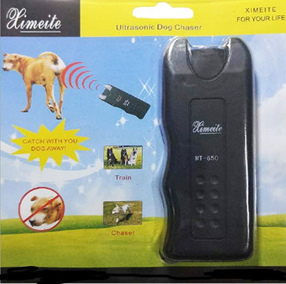 Dog drive b3c18606 ea06 4ab2 922b 8ca4fc606ac7 trans a38028e5 afd8 43db 9d38 d8a227fe000c