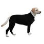Pet Dog Jumpsuit Medium Large Dog Pajamas Anxiety b5214c04 43e9 4ec9 ac80 ff72c91ccecb 1be8e66a d6a5 413f 9e4d d16c36c2e7fa
