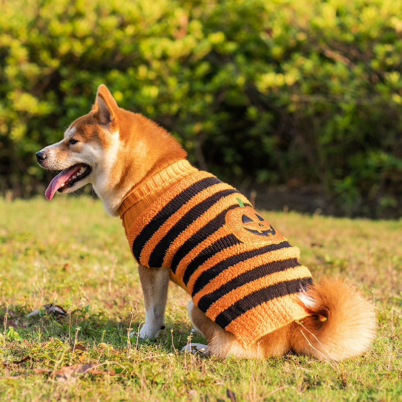 Halloween Dog Sweaters Pet Costume Teddy Warm Leisure Sweater Cosplay Clothes For Dogs Pets Outfits b6f58c1d 025c 49e9 b854 4