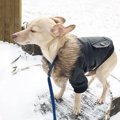 Autumn And Winter Clothes Dog Fur Collar Leather Coat b840f7a8 578f 43d6 8e9c 1f65c4e89ee9