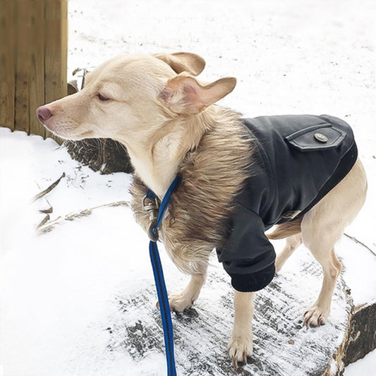 Autumn And Winter Clothes Dog Fur Collar Leather Coat b840f7a8 578f 43d6 8e9c 1f65c4e89ee9