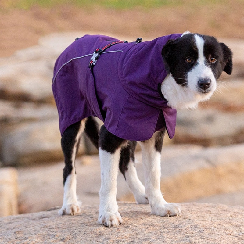 Pet Dog Cotton-padded Clothes Autumn And Winter Waterproof Warm With Velvet b87c84f1 9b2f 46c6 a743 13eac9aaac10