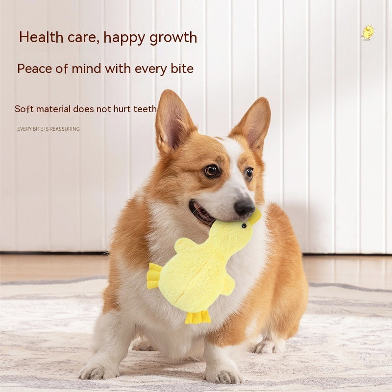 Pet Plush Large Molar Toy b8b6ff13 2553 46cf 9c64 ad7ac273cb27 trans