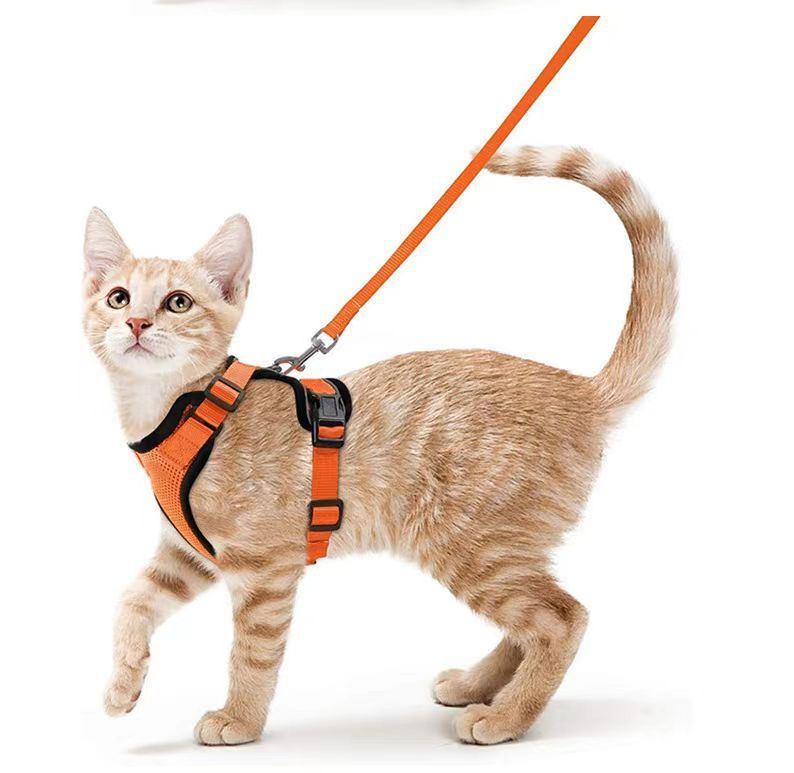 Breathable Chest Strap Reflective Anti Breaking Loose Hand Holding Rope b8c33c28 70e7 4c2a 8a2d 001e31510a64
