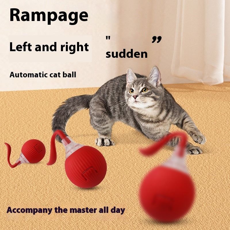 Interactive Cat Toy Ball Super Drive Cat Rolling Ball b90bb612 a2ad 41b6 b9a2 21cd4d497e24 trans