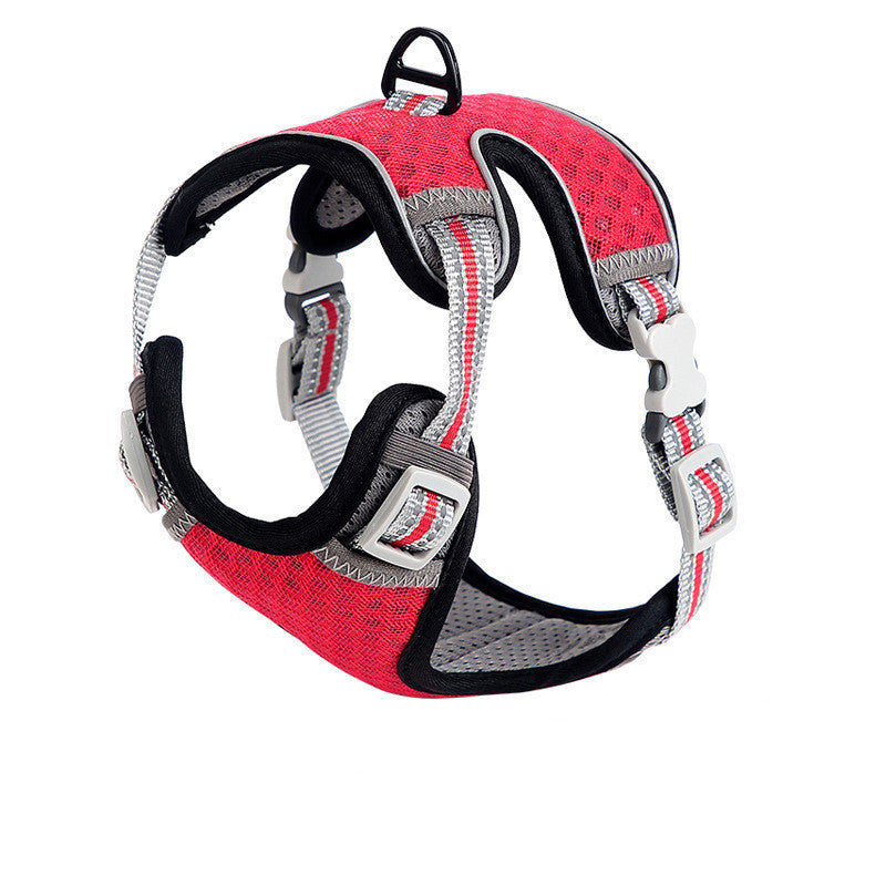 Going Out For A Cat Walk, Pet Cat Chest Strap b92960c0 2153 4752 a1f9 f4ffdc8cb916