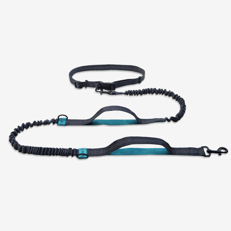 Multifunctional Running Reflective Double Telescopic Dog Leash Dog Chain Lead Rope b9384c76 6af2 4f63 a2c7 1baaf10545bd