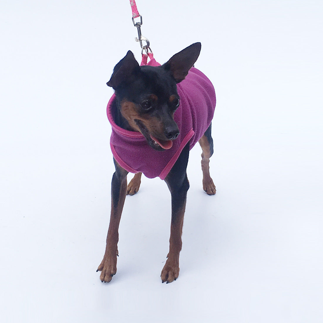 Pet Clothes Dog Clothing Polar Fleece b9f403f9 fe07 4f62 ae0d eeed977663d6