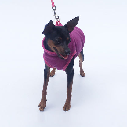 Pet Clothes Dog Clothing Polar Fleece b9f403f9 fe07 4f62 ae0d eeed977663d6