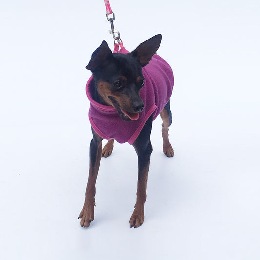 Pet Clothes Dog Clothing Polar Fleece b9f403f9 fe07 4f62 ae0d eeed977663d6