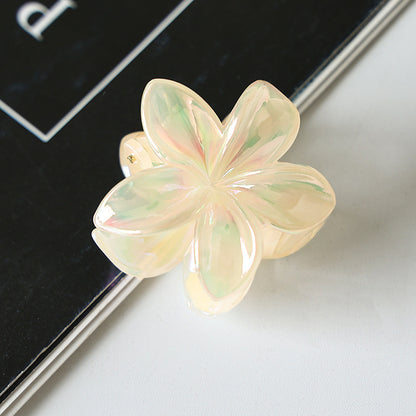 Retro Sweet Hair Claw Clip Women's Side Grip ba83ff11 9a02 4629 acba c12e433cf1b1