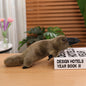 Cute Simulation Platypus Doll Doll Plush Toy bb562c4f 5a2a 4495 8b6d 6915110b786e