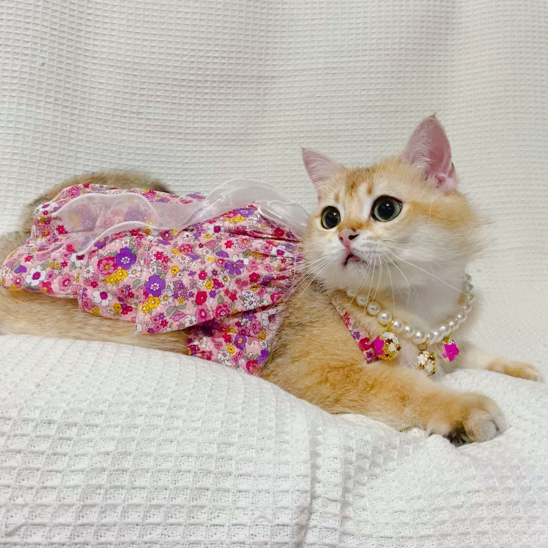 Spring And Summer Dog Clothes Cat Clothing Pet Cotton Floral Slip Dress Mesh Skirt Dress bbc37ae0 ec1d 43dd 8044 3636ca2f796b