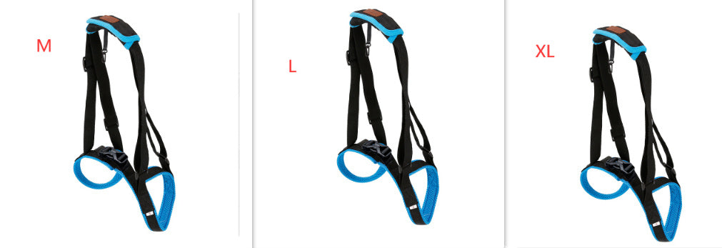 Pet Leg Strap Walking Support Dog Leg Support bbc8dd98 b507 4ee4 8113 4935991e1255