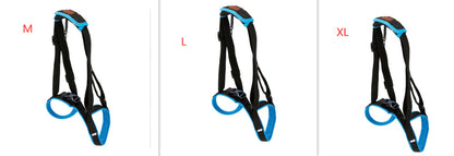 Pet Leg Strap Walking Support Dog Leg Support bbc8dd98 b507 4ee4 8113 4935991e1255