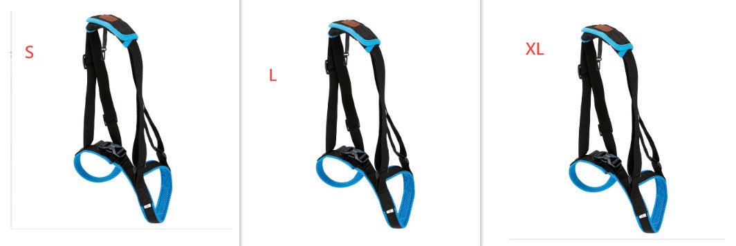 Pet Leg Strap Walking Support Dog Leg Support bc89e3b1 2c4f 4736 a078 145b29c31c4e