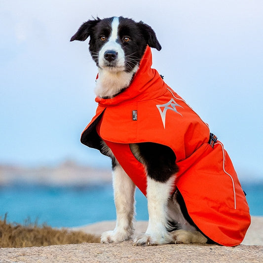Pet Dog Cotton-padded Clothes Autumn And Winter Waterproof Warm With Velvet bd5a9137 ce23 45bd a0dc f581bbc22cf5