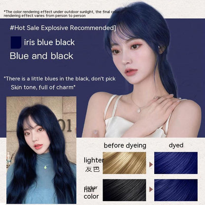 Ammonia-free Hair Color Paste Monochrome Paste Cover White Hair Multi-segment Color One-step Black Tea Gray Blue Black Hair D