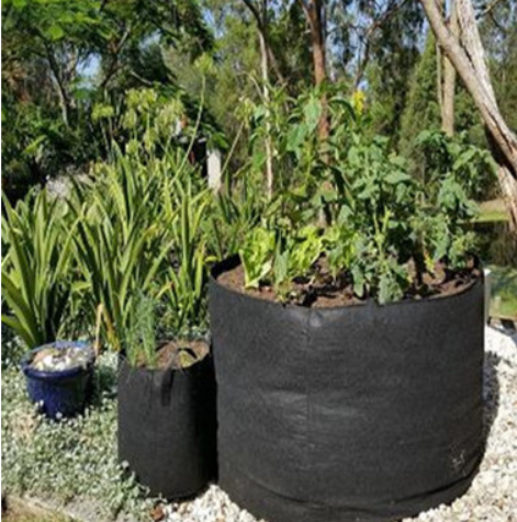 Planted Barrels