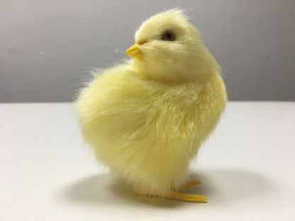 Animal Doll Children Teaching Static Model Chick Decoration c028e700 abb5 4427 9734 6652736a7b59
