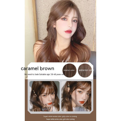 Ammonia-free Hair Color Paste Monochrome Paste Cover White Hair Multi-segment Color One-step Black Tea Gray Blue Black Hair D