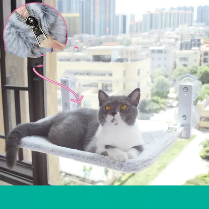Cat Suction Cup Window Glass Hammock Pet Cat Pets Products c226d955 f6f7 4637 983c e79491c32eee