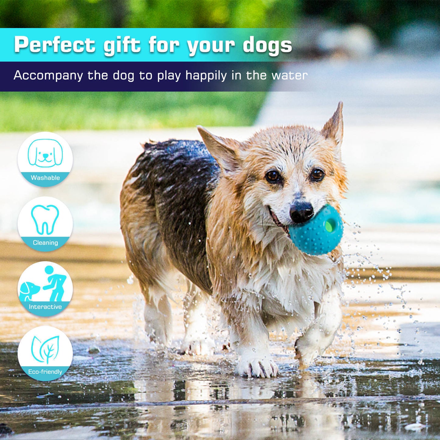 Pet Squall Ball Dog Playmate Sound Relieving Toys c5b3b19b c6c6 4c6d 8f27 5bec9492be63