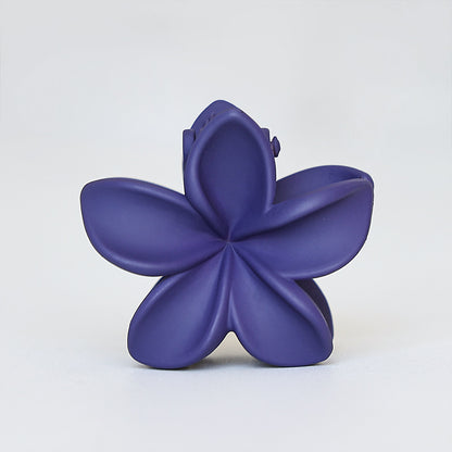 Retro Sweet Hair Claw Clip Women's Side Grip c650c63d aaf1 461a b620 2b14c5430cd7