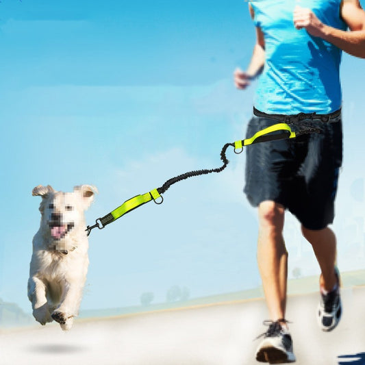 Multifunctional Running Reflective Double Telescopic Dog Leash Dog Chain Lead Rope c86d65d5 1c78 4b53 baef 40da7f0cc8fb