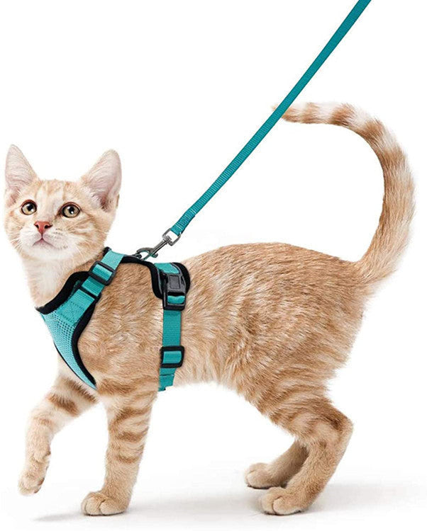Breathable Chest Strap Reflective Anti Breaking Loose Hand Holding Rope c884c9b1 5b89 4b30 9fce d4dcad9dc477