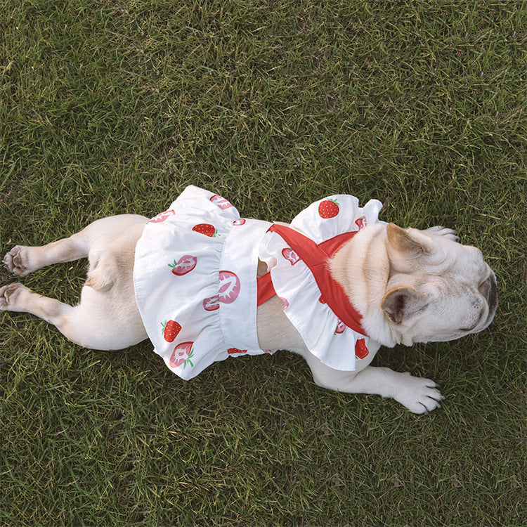 Lotus Leaf Lace Suspender Skirt Fadou Sherry Teddy Small And Medium Sized Dog, Cat And Dog Clothes Bago Strawberry Print c9f1