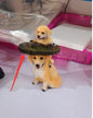 Garden Decoration Raccoon Resin Ornaments Handicraft Gardening Bird Drinking Ornaments cb01af7e a482 44fd 8199 a2c409d34198