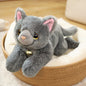 Simulation Birthday Gift Cat Plush Toy cc32f1a2 edb7 4d93 9edf 079a65c136e0 920ff77b 2852 4f70 93ed 2fadf04e356b