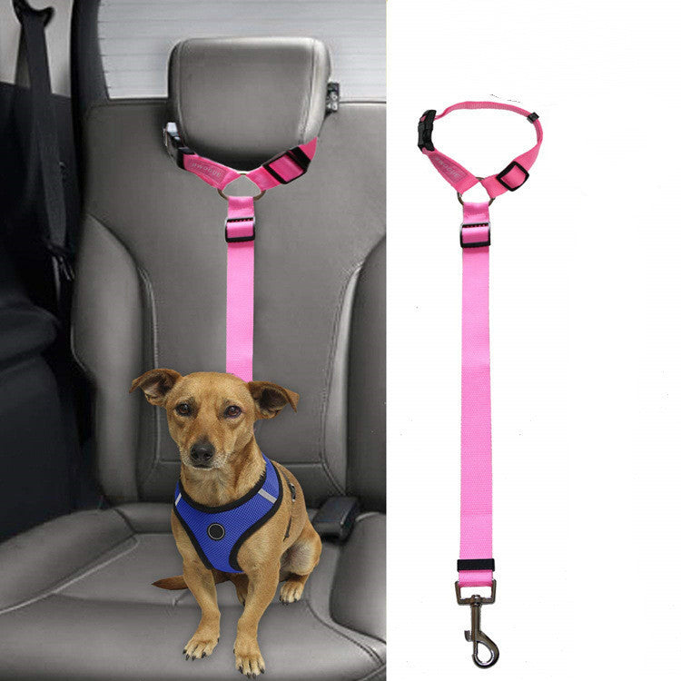Car Backseat Pet Leash for stability cc5f6931 7a16 4b61 ad6e 3db66d57d167