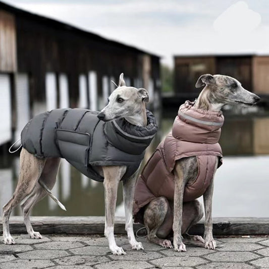 Dog Clothes Thickened Thermal Vest Cotton Coat ce7a23df a022 4945 9934 8efc76e1d8e0