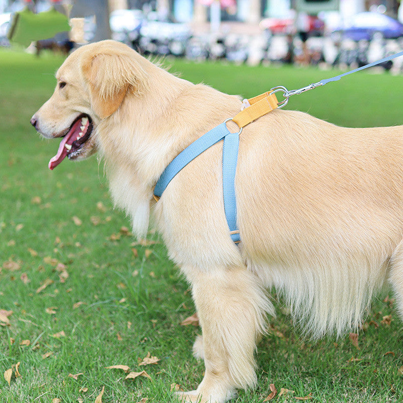 Color Pet Drawstring Leash Vest-style Dog Leash ce932614 e703 4fac 85d3 1983eddc16df