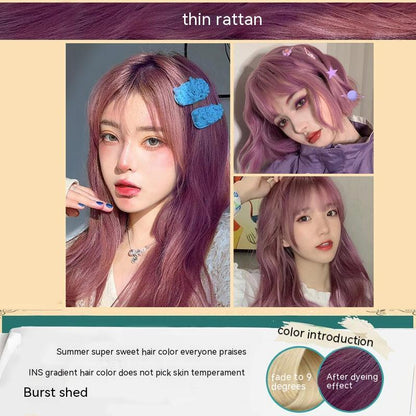 Ammonia-free Hair Color Paste Monochrome Paste Cover White Hair Multi-segment Color One-step Black Tea Gray Blue Black Hair D