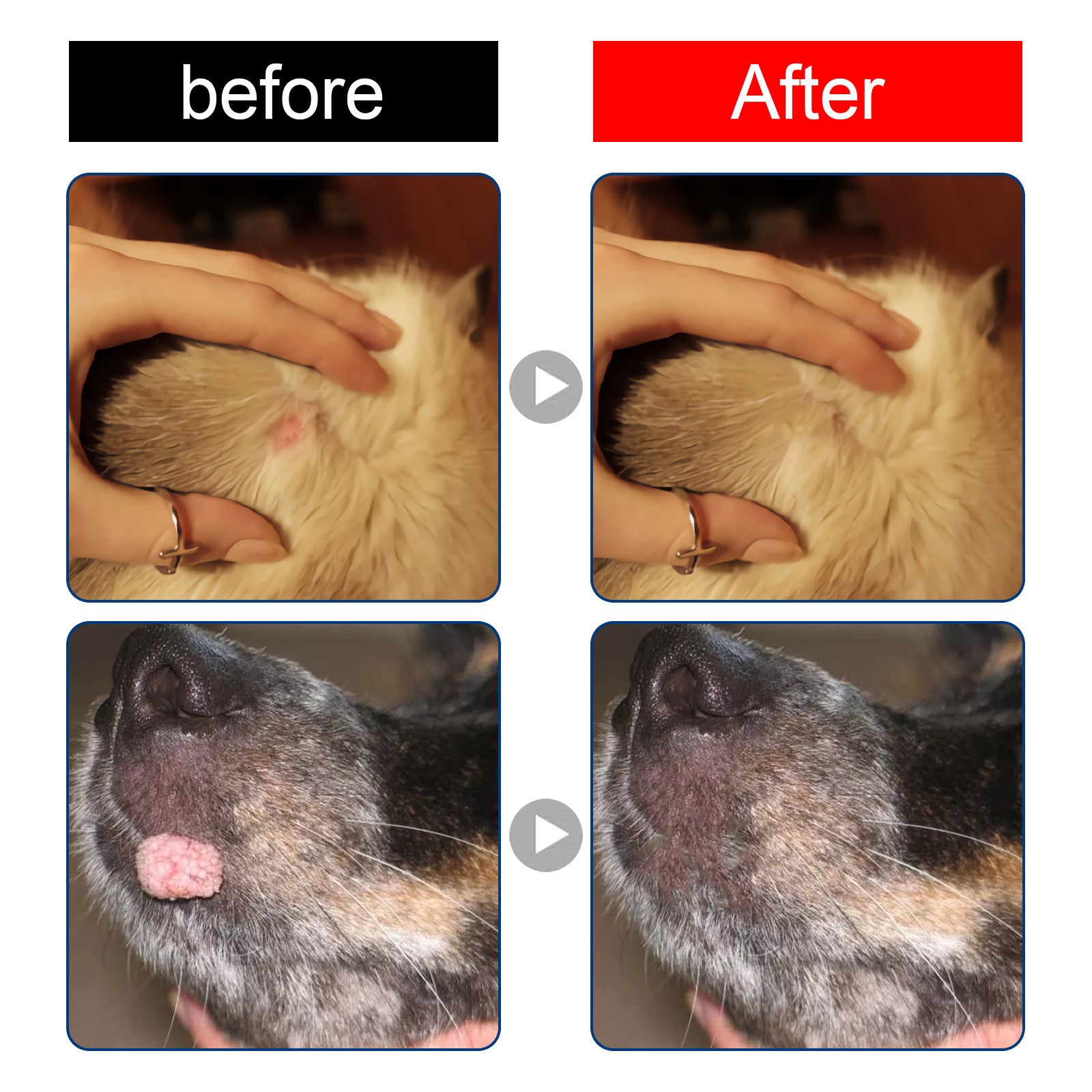 Pet Wart Liquid Skin Label Removal Flesh Bump d0bf1ee3 57ab 4869 89a1 546eb9390975
