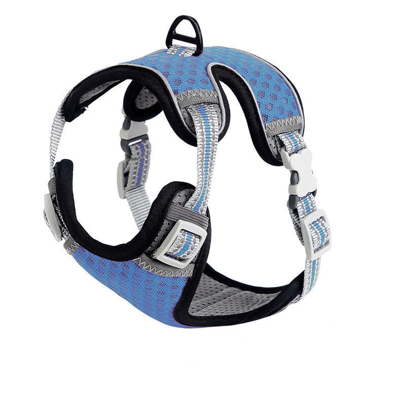 Going Out For A Cat Walk, Pet Cat Chest Strap d17a43b1 debb 4aaa 94ca b7edd87e0a6c