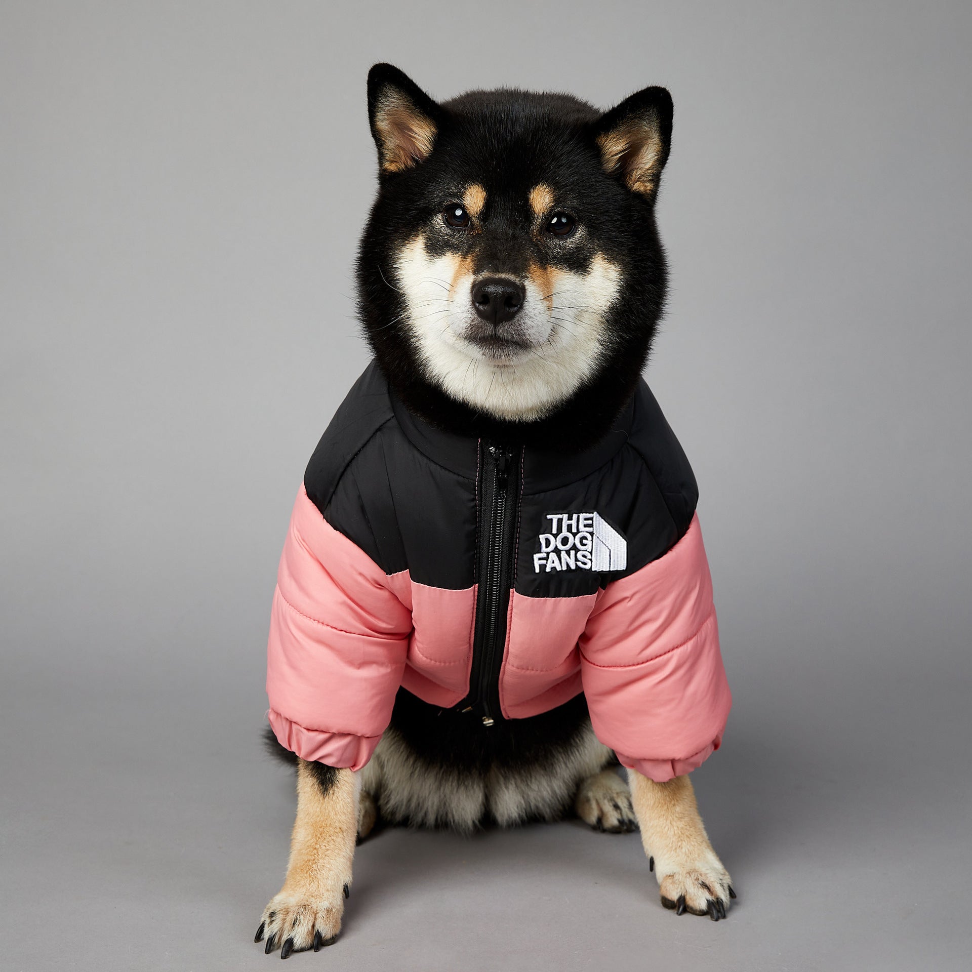 Windproof And Rainproof Dog Winter Warm Pet Cotton-padded Clothes d224810e 27a1 4d8a a0c5 65e887a43650