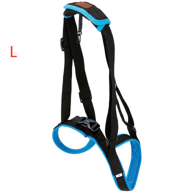 Pet Leg Strap Walking Support Dog Leg Support d3d3eaa4 fe13 48a9 9a67 7348d737cc8b