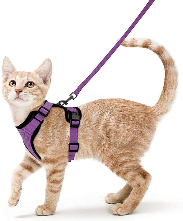 Breathable Chest Strap Reflective Anti Breaking Loose Hand Holding Rope d4287e43 d8d6 4349 9708 8aa86509df03