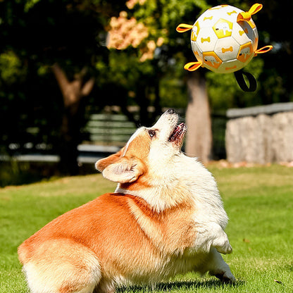 Pet Interactive Football Dog Outdoor Toy Molar Long Lasting d61c6dc2 57a6 4140 9176 868ec8be3da1