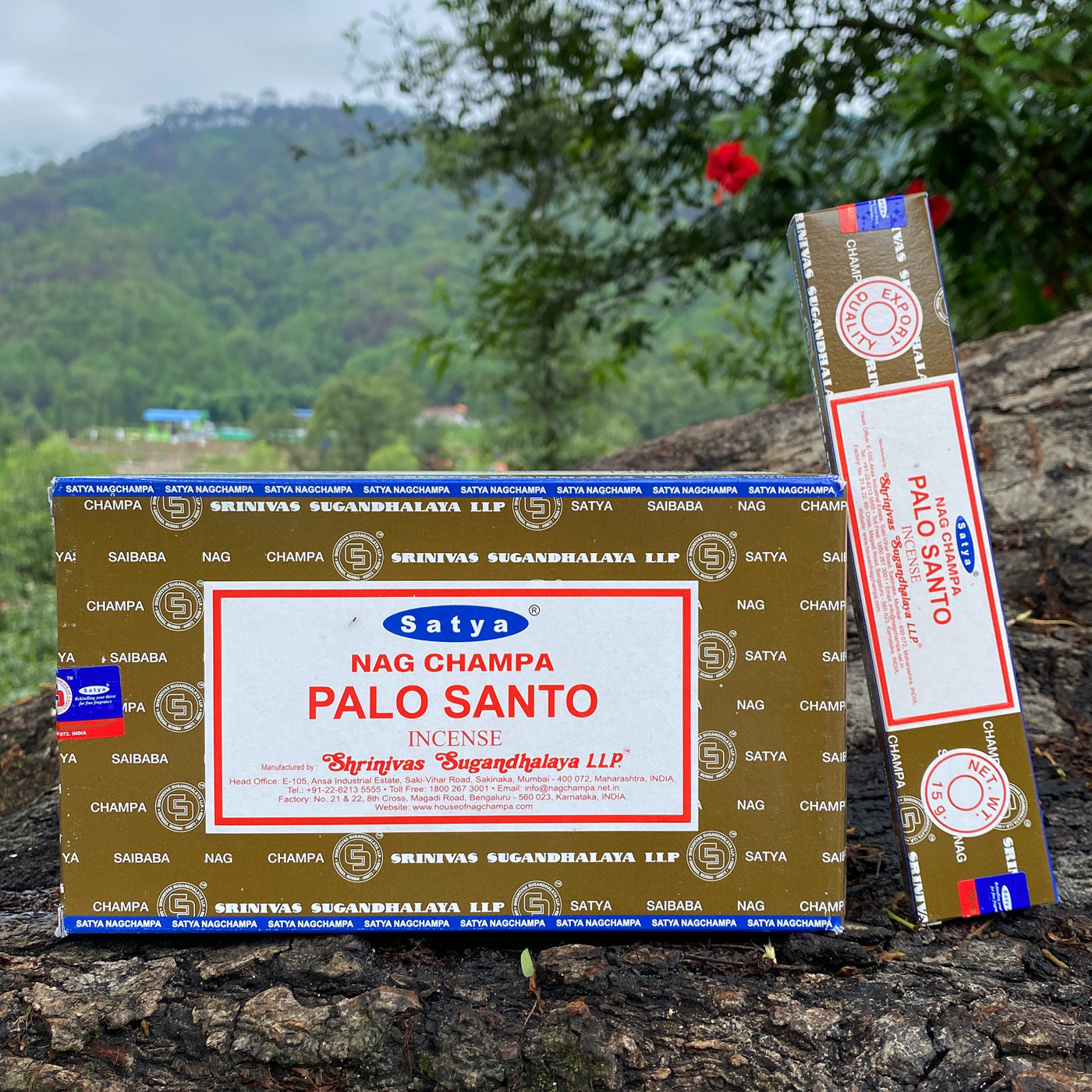 Saibaba Bamboo Stick Incense Stick Incense 15g d645306b 4113 4ee5 b069 2fb6d09edfac