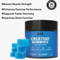 One Water Creatine Gummies Fitness Gummies d67c8531 36fd 44ee 9fd0 5945a1975a57 fine 32515c15 29af 429c 9c25 4b756664d7cd