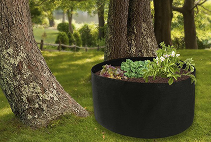 Planted Barrels