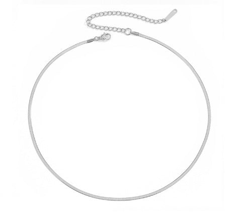 Titanium Steel Flat Snake Bone Chain Women's Short Necklace d984e69f 0c15 4374 8e4a 4f13fc24c9af 08183fa7 b0a2 486e 8e0e 37d9