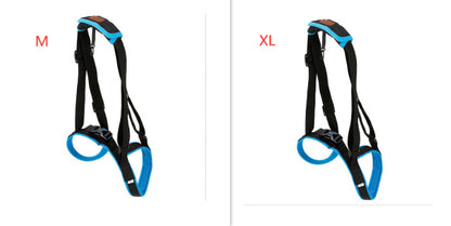 Pet Leg Strap Walking Support Dog Leg Support dbfe7ed2 4aa9 48ca a215 c4ca35f77de3