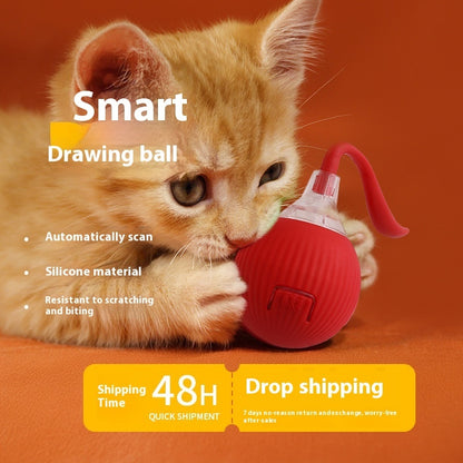 Interactive Cat Toy Ball Super Drive Cat Rolling Ball dc94f86d 2e74 45a4 92da fcdbaee84d7f trans
